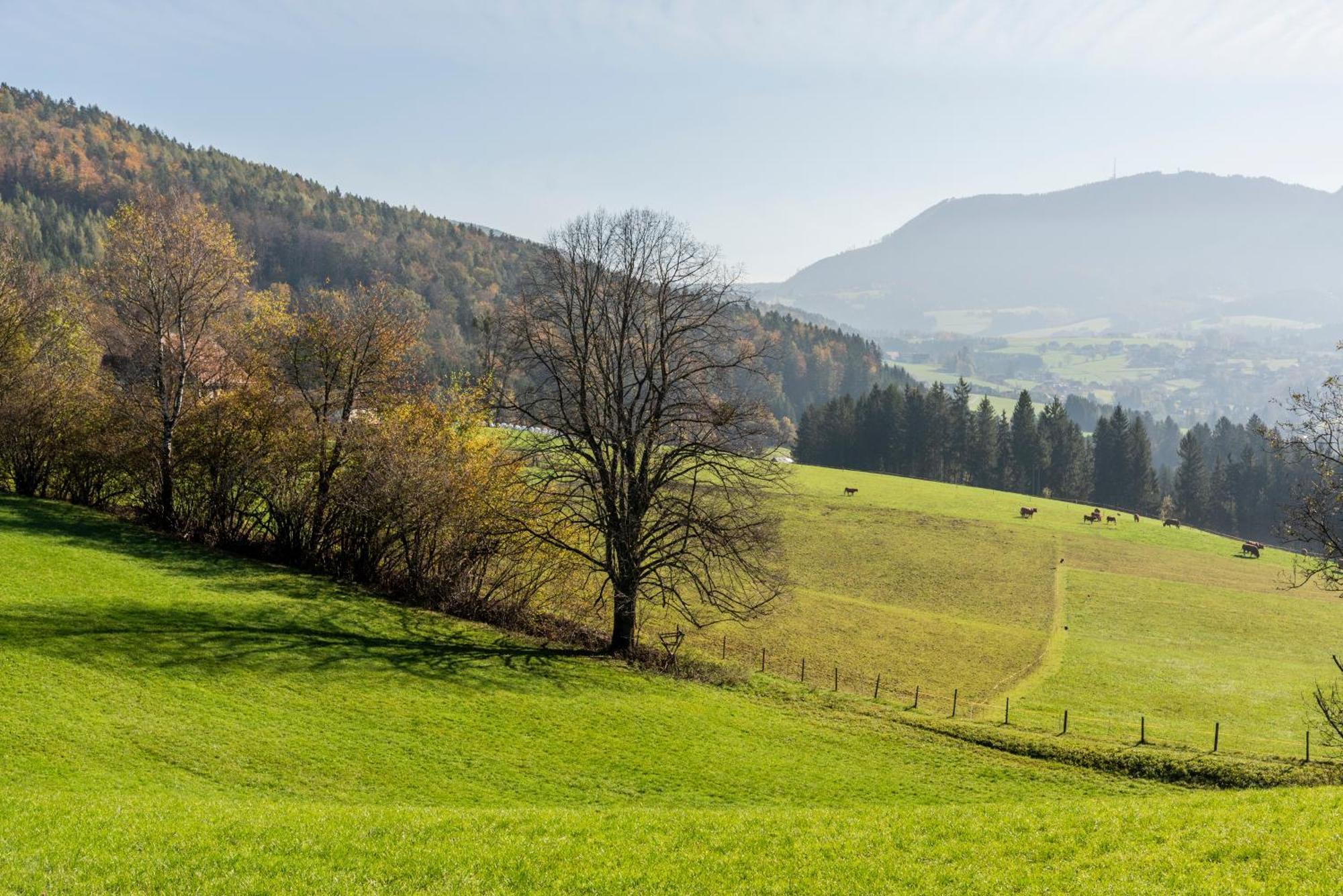Ferienwohnung Am Labyrinth Semriach Zewnętrze zdjęcie